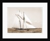 Quickstep (Schooner), 1891 by Anonymous