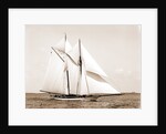 Quickstep (Schooner), 1891 by Anonymous