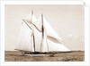 Quickstep (Schooner), 1891 by Anonymous