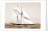 Quickstep (Schooner), 1891 by Anonymous
