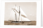 Quickstep (Schooner), 1891 by Anonymous