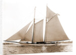 America (Schooner), 1891 by Anonymous