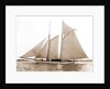 America (Schooner), 1891 by Anonymous