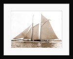 America (Schooner), 1891 by Anonymous
