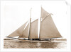 America (Schooner), 1891 by Anonymous
