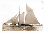 America (Schooner), 1891 by Anonymous