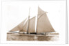 America (Schooner), 1891 by Anonymous