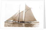 America (Schooner), 1891 by Anonymous