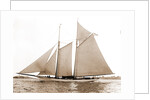 America (Schooner), 1891 by Anonymous