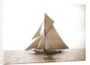 Vigilant (Yacht) by Anonymous