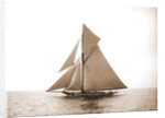 Vigilant (Yacht) by Anonymous