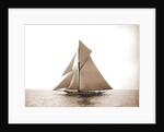 Vigilant (Yacht) by Anonymous