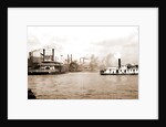 Steamboats along the levee, New Orleans by Anonymous