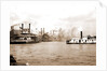 Steamboats along the levee, New Orleans by Anonymous