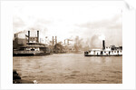 Steamboats along the levee, New Orleans by Anonymous