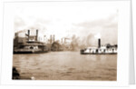 Steamboats along the levee, New Orleans by Anonymous
