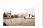Steamboats along the levee, New Orleans by Anonymous