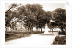 White Point Garden, Charleston by Anonymous