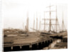 Lumber wharfs, St. John's River by Anonymous