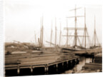 Lumber wharfs, St. John's River by Anonymous
