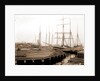 Lumber wharfs, St. John's River by Anonymous