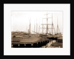 Lumber wharfs, St. John's River by Anonymous