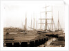 Lumber wharfs, St. John's River by Anonymous