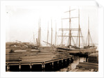 Lumber wharfs, St. John's River by Anonymous