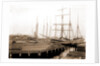 Lumber wharfs, St. John's River by Anonymous