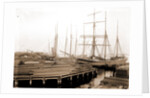 Lumber wharfs, St. John's River by Anonymous