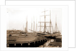 Lumber wharfs, St. John's River by Anonymous
