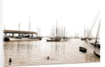 Sponge fleet in harbor, Key West by Anonymous
