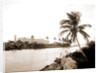 Royal Palm Hotel from Miami River, Hotels by Anonymous