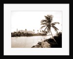 Royal Palm Hotel from Miami River, Hotels by Anonymous