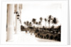Porch of the Hotel Royal Palm by Anonymous