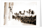 Porch of the Hotel Royal Palm by Anonymous