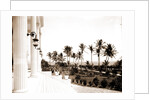 Porch of the Hotel Royal Palm by Anonymous