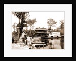 The Okeehumkee at wharf, Silver Springs by Anonymous