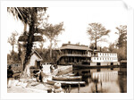 The Okeehumkee at wharf, Silver Springs by Anonymous