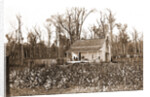 Home of the cotton picker, Jackson by Anonymous