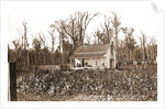 Home of the cotton picker, Jackson by Anonymous