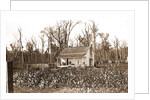 Home of the cotton picker, Jackson by Anonymous