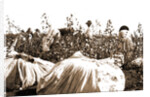 Picking cotton, Jackson by Anonymous