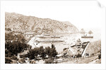 Harbor and Avalon Greek Theater, Avalon by Anonymous