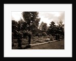 Garden and arbor, residence of Mrs. Franklin H. Walker by Anonymous