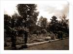 Garden and arbor, residence of Mrs. Franklin H. Walker by Anonymous