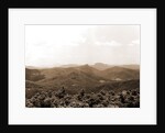 Blue Ridge from Mt. Toxaway, Sapphire by Anonymous
