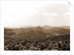 Blue Ridge from Mt. Toxaway, Sapphire by Anonymous
