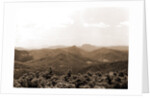 Blue Ridge from Mt. Toxaway, Sapphire by Anonymous