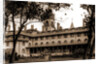 The Ponce De Leon from the orange grove, Jackson by Anonymous